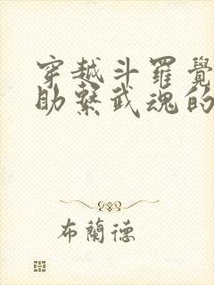 穿越斗罗觉醒辅助系武魂的小说