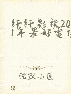 纤纤影视2021年最好电视剧功
