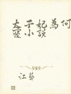 太子妃为何不侍寝小说