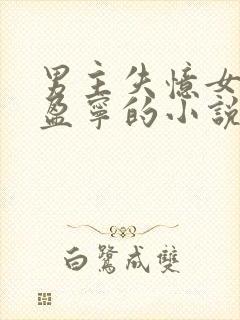 男主失忆女主沈盈宁的小说