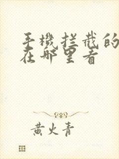 手机拦截的电话在哪里看