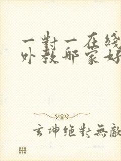 一对一在线英语外教哪家好