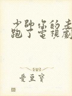 少帅你的老婆又跑了电视剧免费观看高清