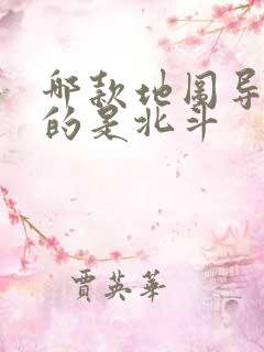 哪款地图导航用的是北斗