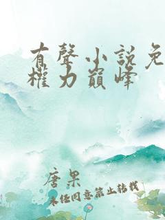 有声小说免费听权力巅峰