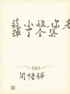 苏小姐,你老公掉了全集