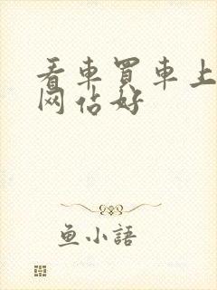 看车买车上什么网站好