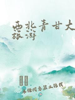 西北青甘大环线旅游