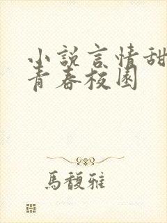 小说言情甜宠文青春校园