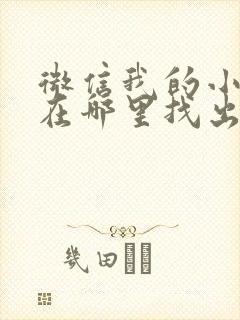 微信我的小程序在哪里找出来