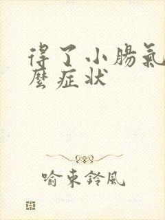 得了小肠气是什么症状