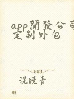 app开发公司定制外包