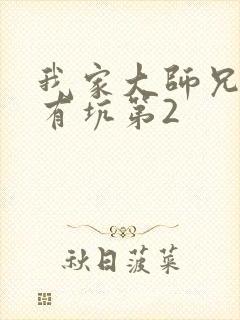 我家大师兄脑子有坑第2