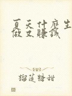 夏天什么生意好做又赚钱