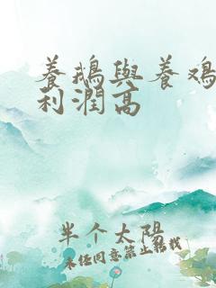 养鹅与养鸡哪个利润高