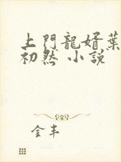 上门龙婿叶辰萧初然 小说