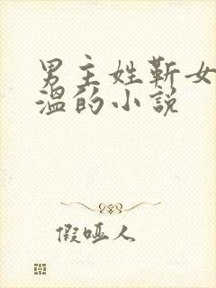 男主姓靳女主姓温的小说