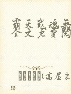 霸天武魂无弹窗全文免费阅读