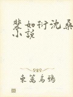 裴如衍沈桑宁的小说