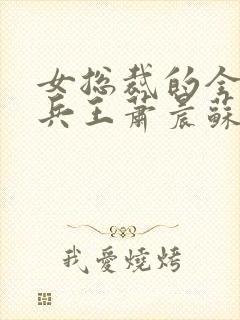 女总裁的全能型兵王萧晨苏晴