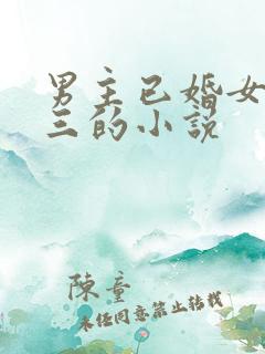 男主已婚女主小三的小说