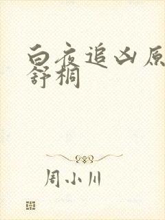 白夜追凶原著周舒桐