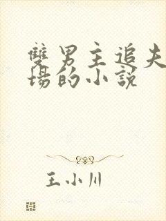 双男主追夫火葬场的小说