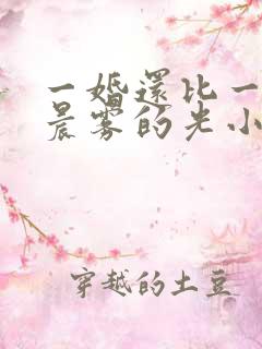 一婚还比一婚高晨雾的光小说