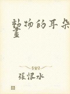 动物的耳朵怎么画