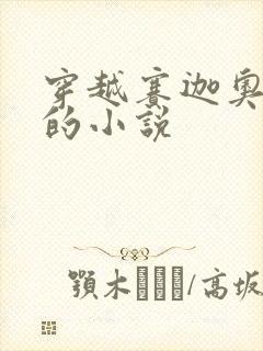 穿越赛迦奥特曼的小说