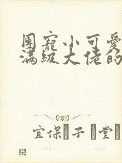 团宠小可爱成了满级大佬的小说