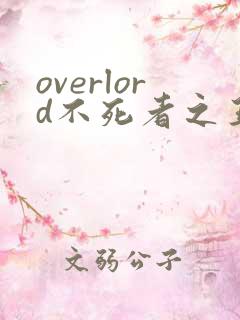 overlord不死者之王小说