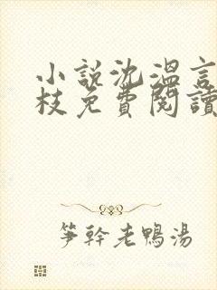 小说沈温言周南枝免费阅读