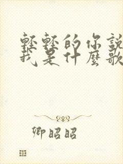 轻轻的你说的爱我是什么歌