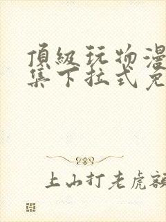 顶级玩物漫画全集下拉式免费观看