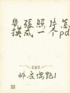 几张照片怎么转换成一个pdf