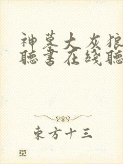 神墓大灰狼免费听书在线听