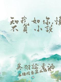 知我如你,情深不负 小说