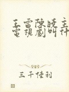 王雷陈晓主演的电视剧叫什么名字