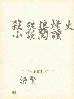 杀破狼烽火流金小说阅读