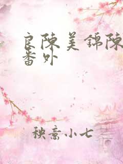 良陈美锦陈玄青番外