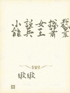 小说女总裁的全能兵王萧晨