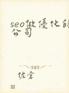 seo做优化的公司