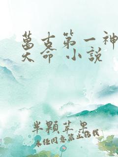 万古第一神 李天命 小说