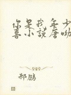 你是我年少的欢喜小说唐呦