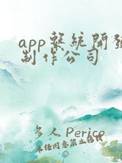 app系统开发制作公司