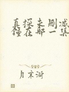 真探未删减6分钟在哪一集