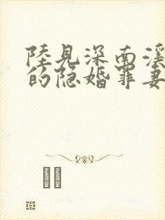 陆见深南溪陆少的隐婚罪妻