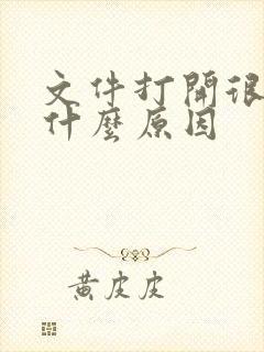 文件打开很慢是什么原因