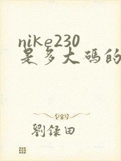 nike230是多大码的鞋